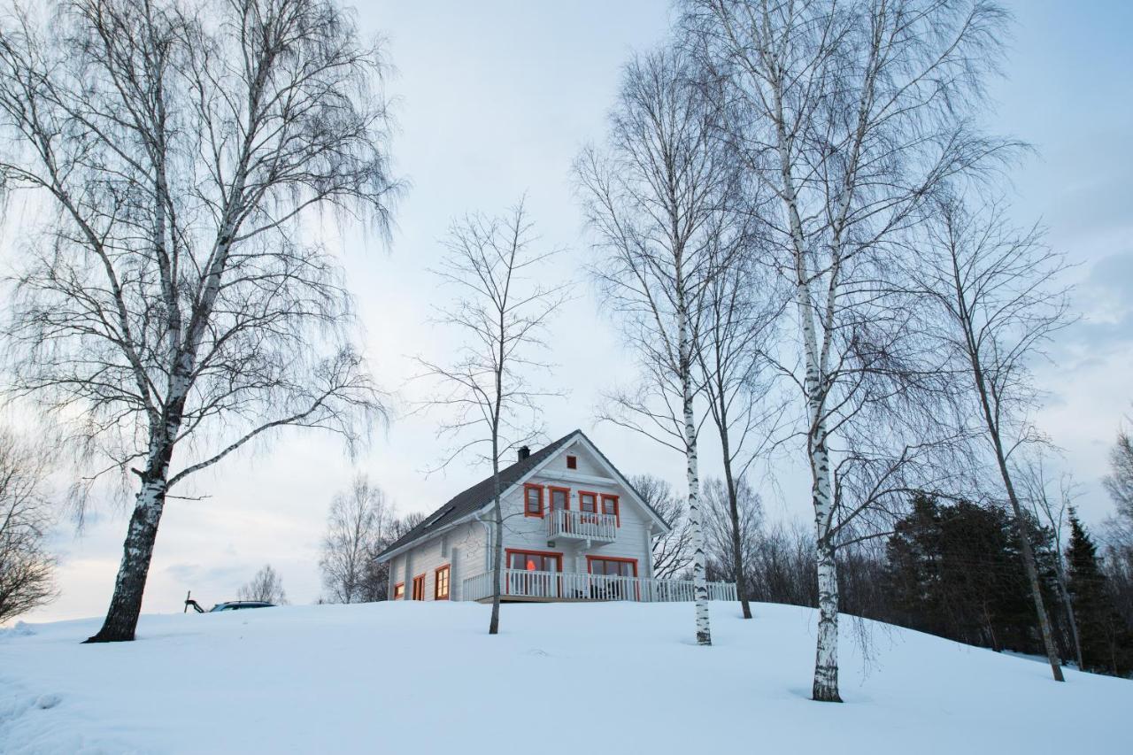 Vasekoja Holiday Center Vahtseliina Bagian luar foto