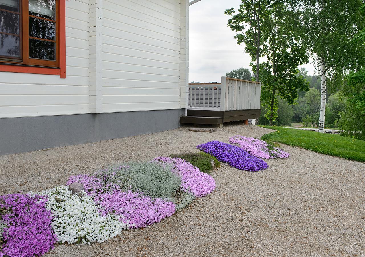 Vasekoja Holiday Center Vahtseliina Bagian luar foto
